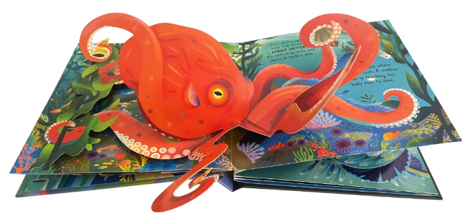 Marine Pop Up Book