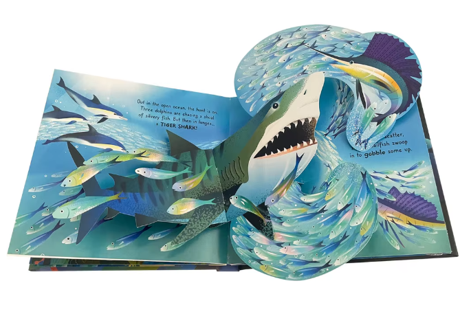 Marine Pop Up Book