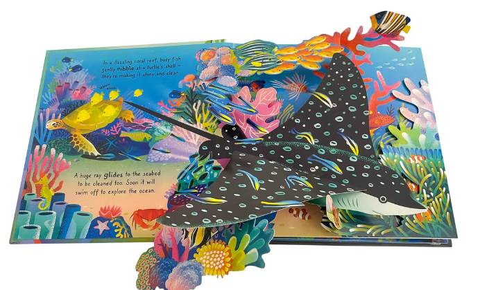 Marine Pop Up Book