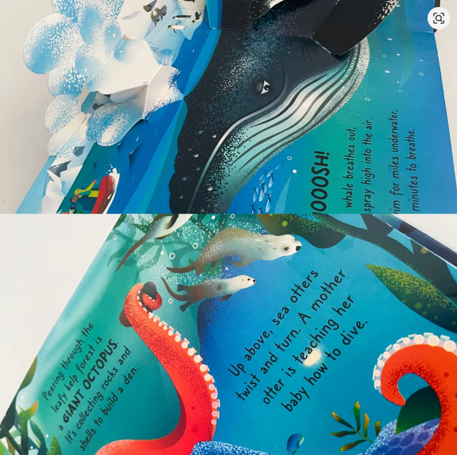 Marine Pop Up Book